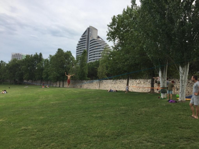 Longline montada en un parque entre dos arboles