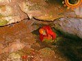 Rutas GEA - Cueva del Alto de la Pe�a