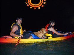 Rutas GEA - Ruta de La Toba Nocturna