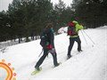 Rutas GEA - Raquetas de nieve en La Mogorrita