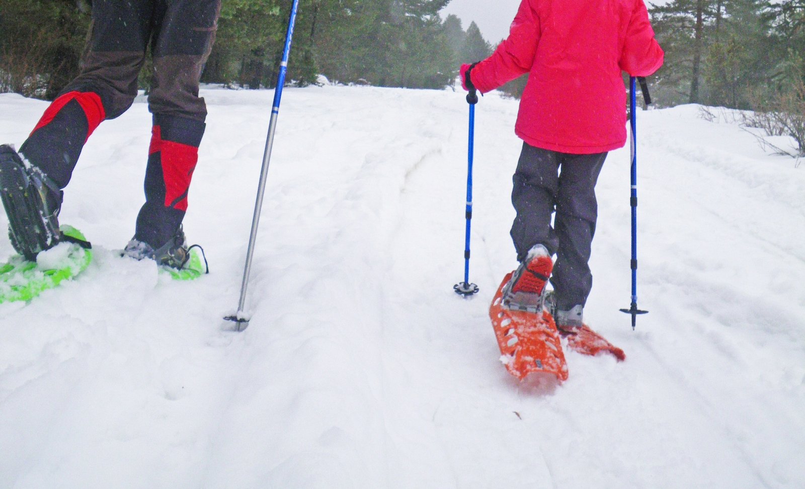 Imagen Raquetas de nieve en Cuenca